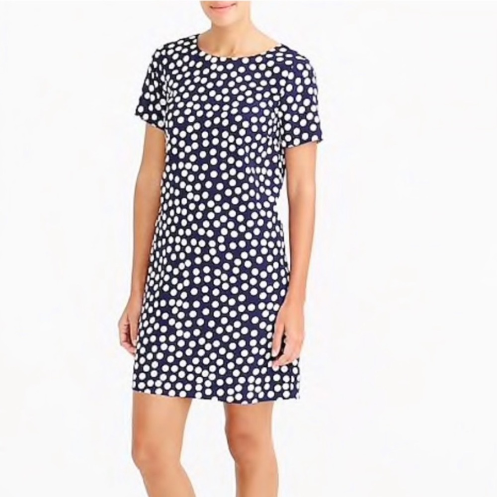 JCrew Navy Polka Dot Gallery Dress